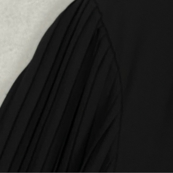 Rachel Zoe Top Balloon Sleeves Sz XS Sheer Quarter Button Collar Pleated Sleeves - Picture 4 of 12